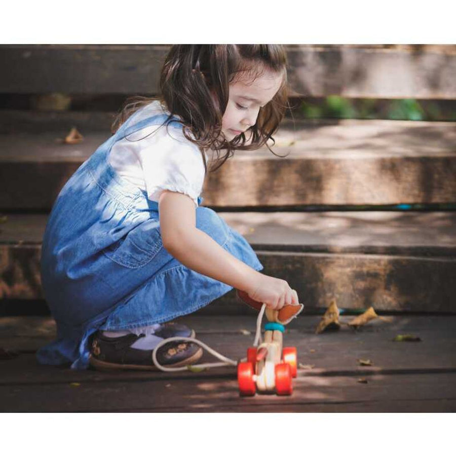 Plan Toys Happy Puppy