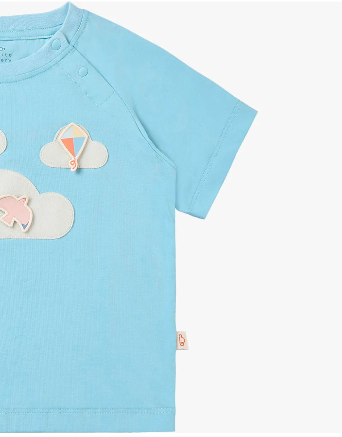 Petite Revery Quick Dry Cooling Cotton Raglan Short Sleeve Tee - Forget-Me-Not