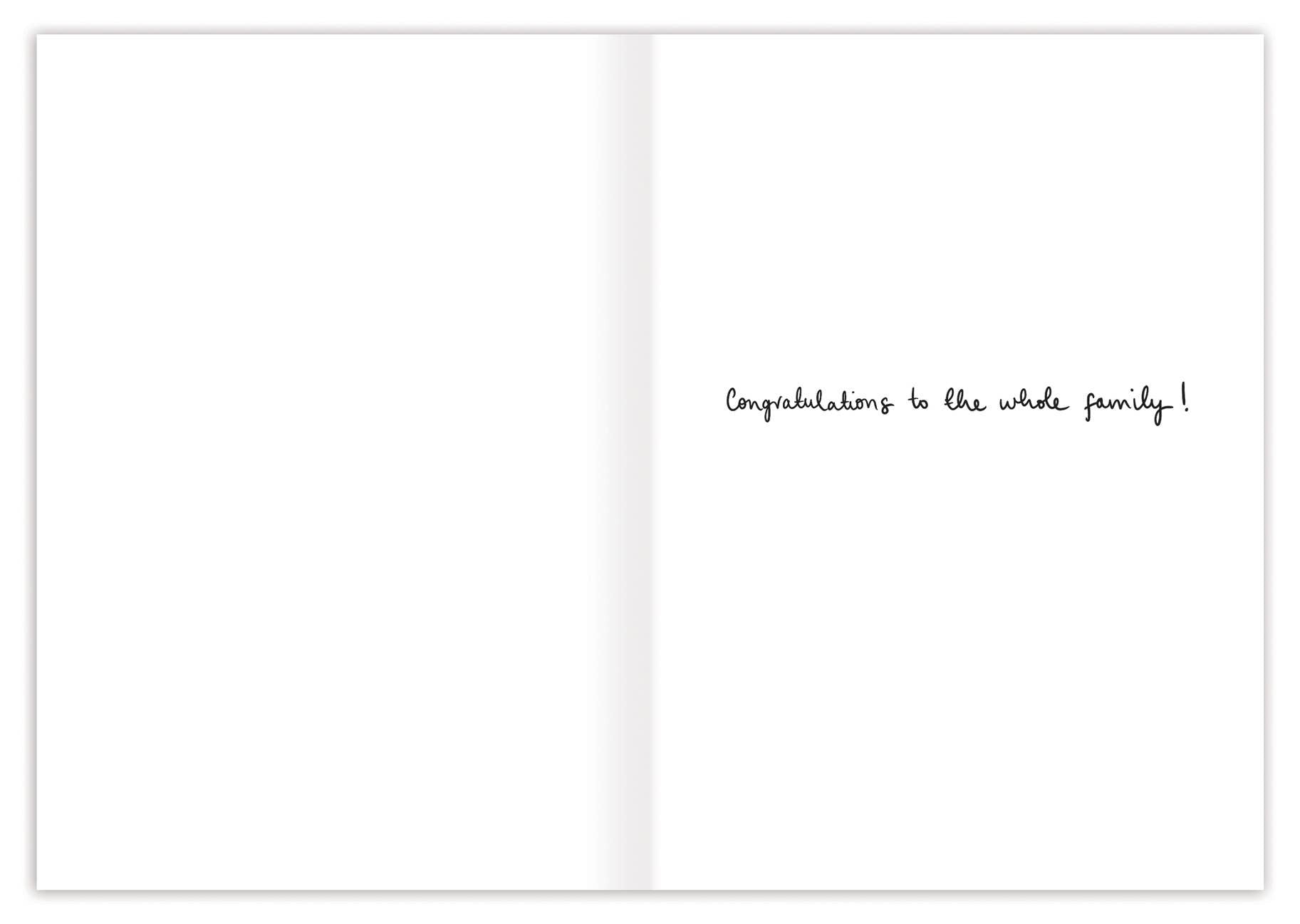 Welcome To The World Baby Card by Louise Mulgrew for Biely & Shoaf