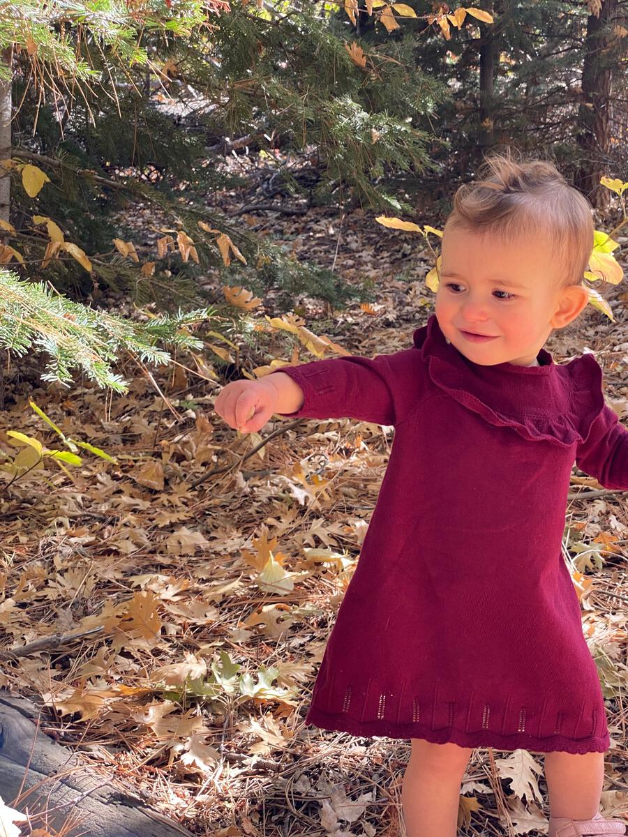 ettie + h Tressa Dress - Burgundy Knit