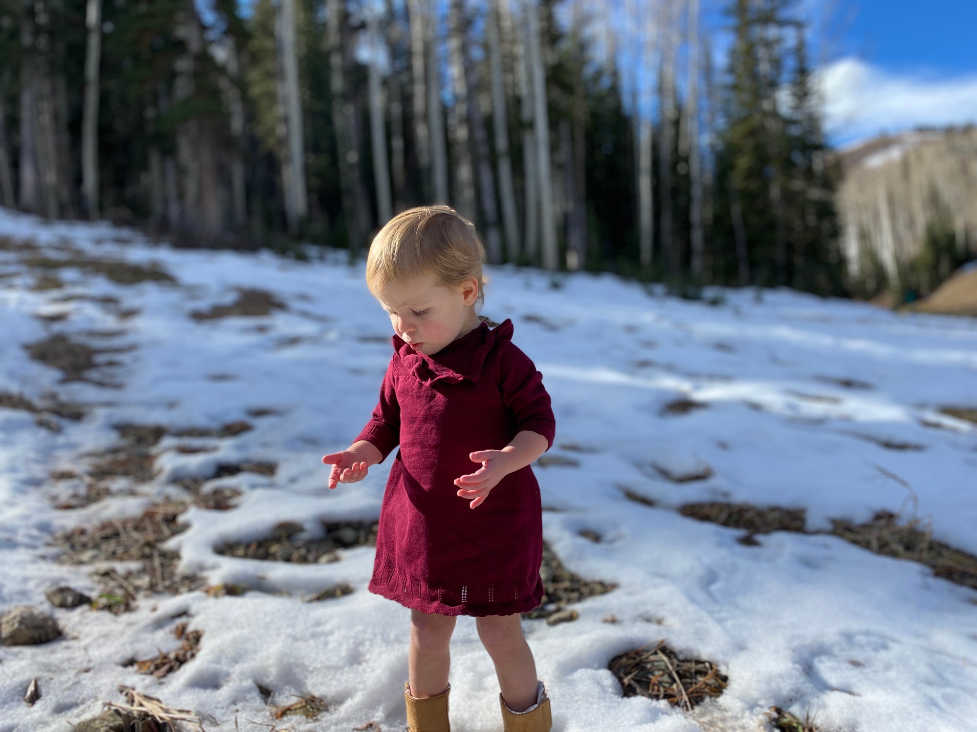 ettie + h Tressa Dress - Burgundy Knit