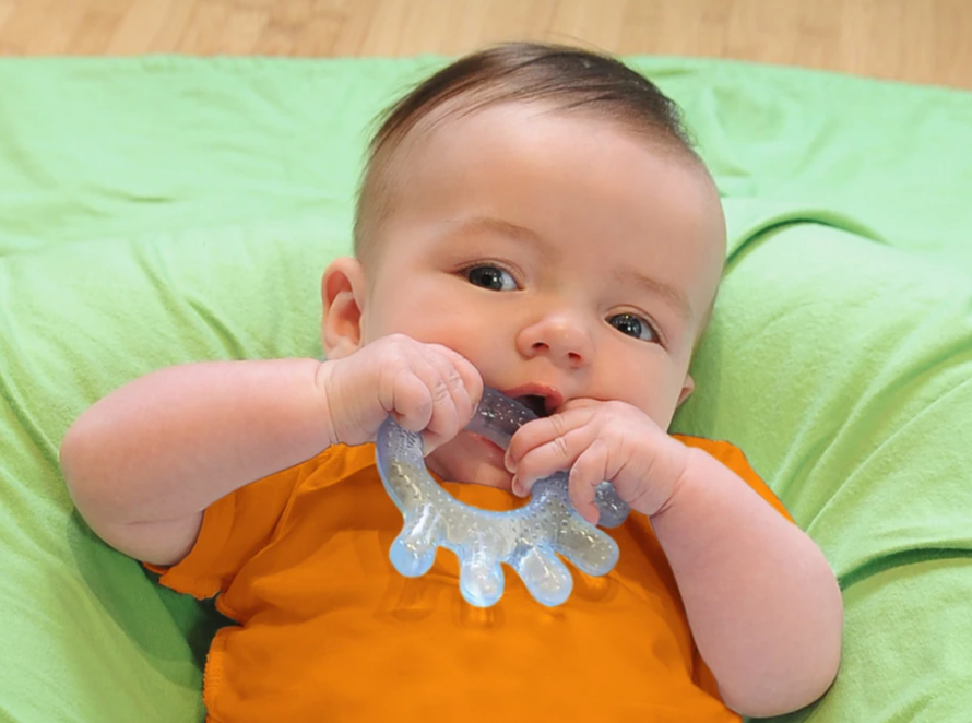 Green Sprouts - Cooling Teether (2 pack)