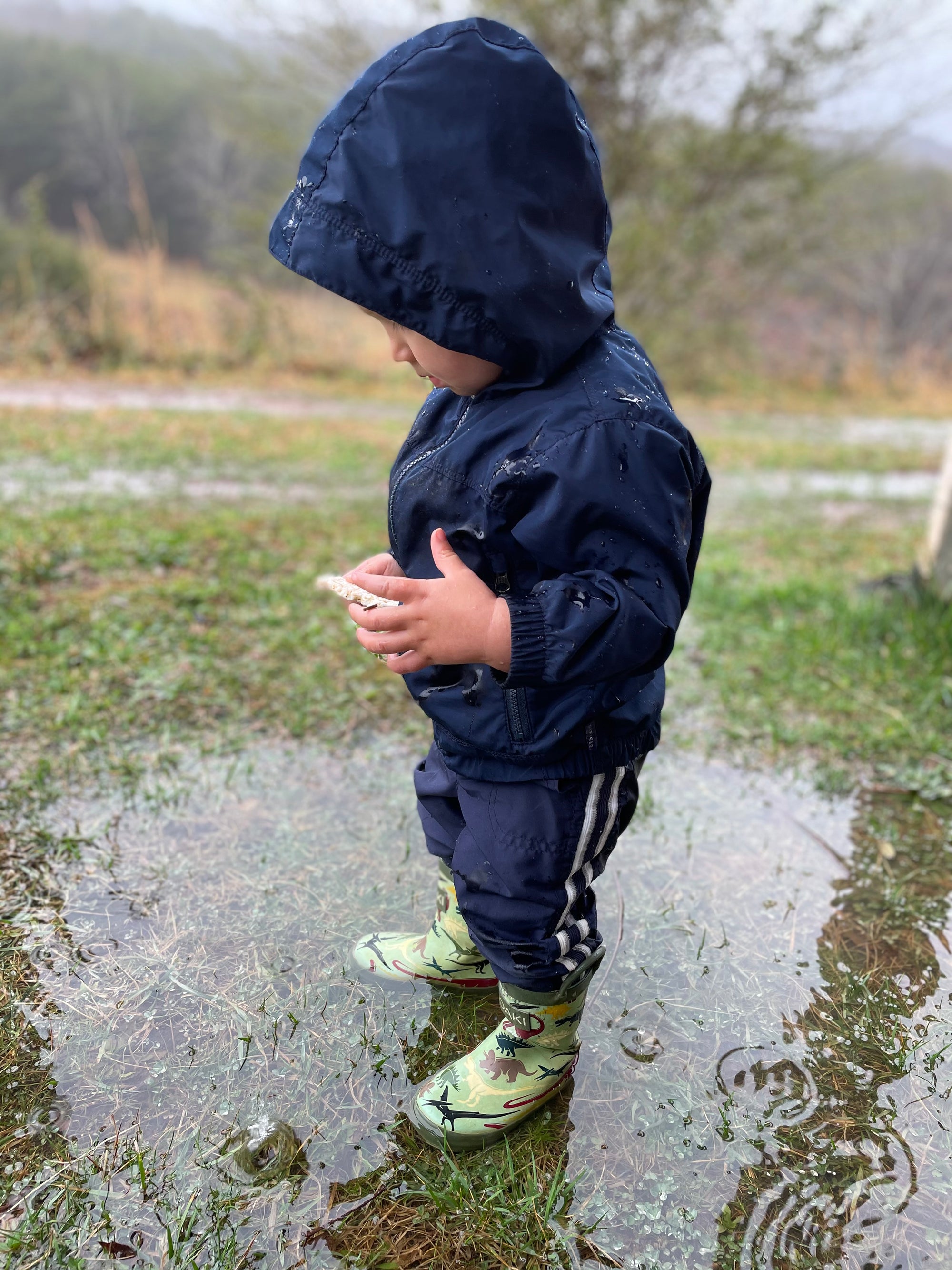 Oakiwear Loop Handle Rubber Rain Boots - Earthy Dinosaurs