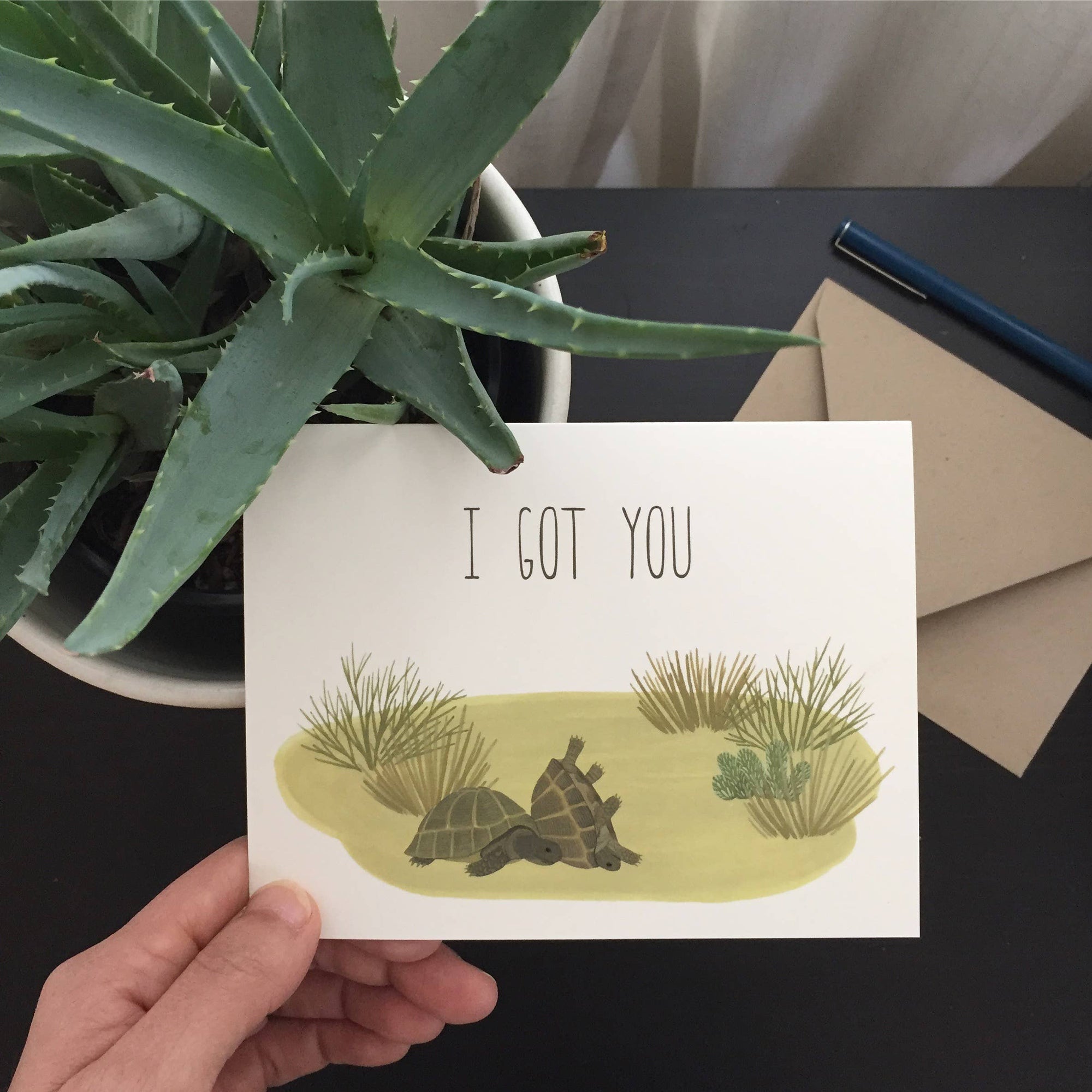 Box Turtles Tortoise Encouragement Friendship Sympathy Card