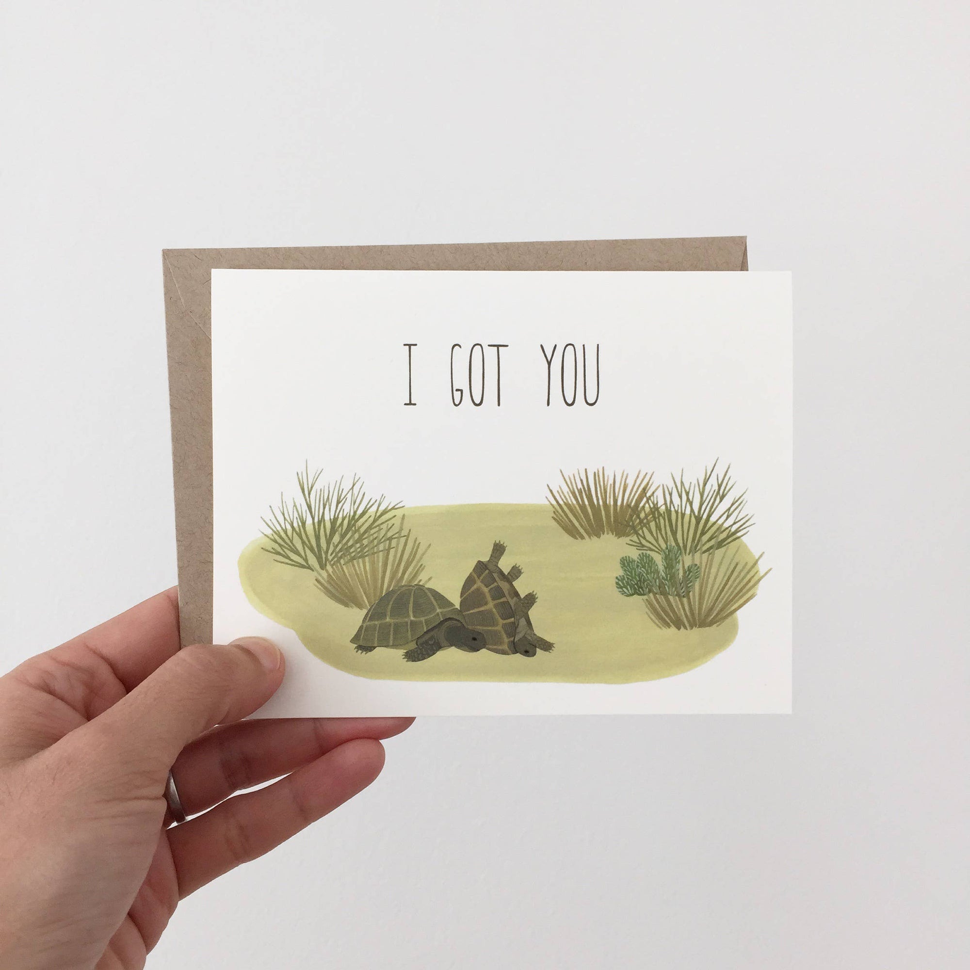 Box Turtles Tortoise Encouragement Friendship Sympathy Card