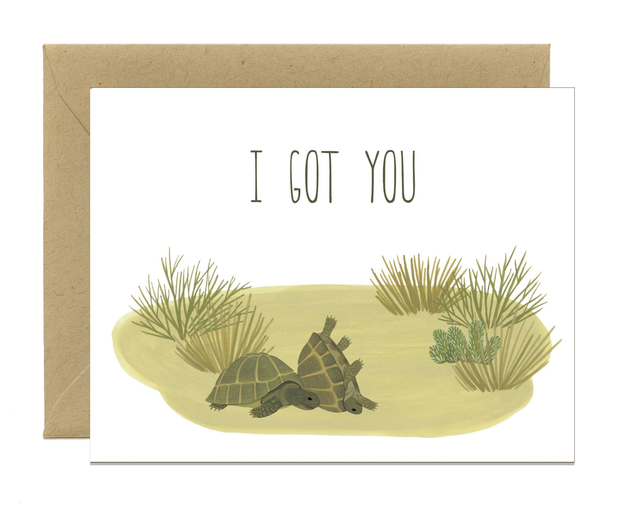 Box Turtles Tortoise Encouragement Friendship Sympathy Card