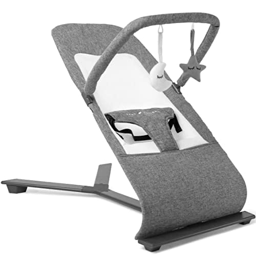 Resale Baby Delight Alpine Portable bouncer seat