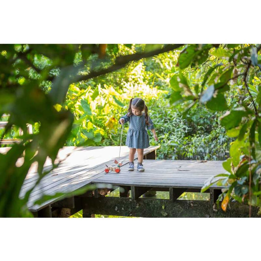 Plan Toys Happy Puppy