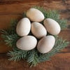 Camden Rose Good Eggs - Wooden Eggs