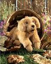 Folkmanis Puppets - Golden Retriever Puppy