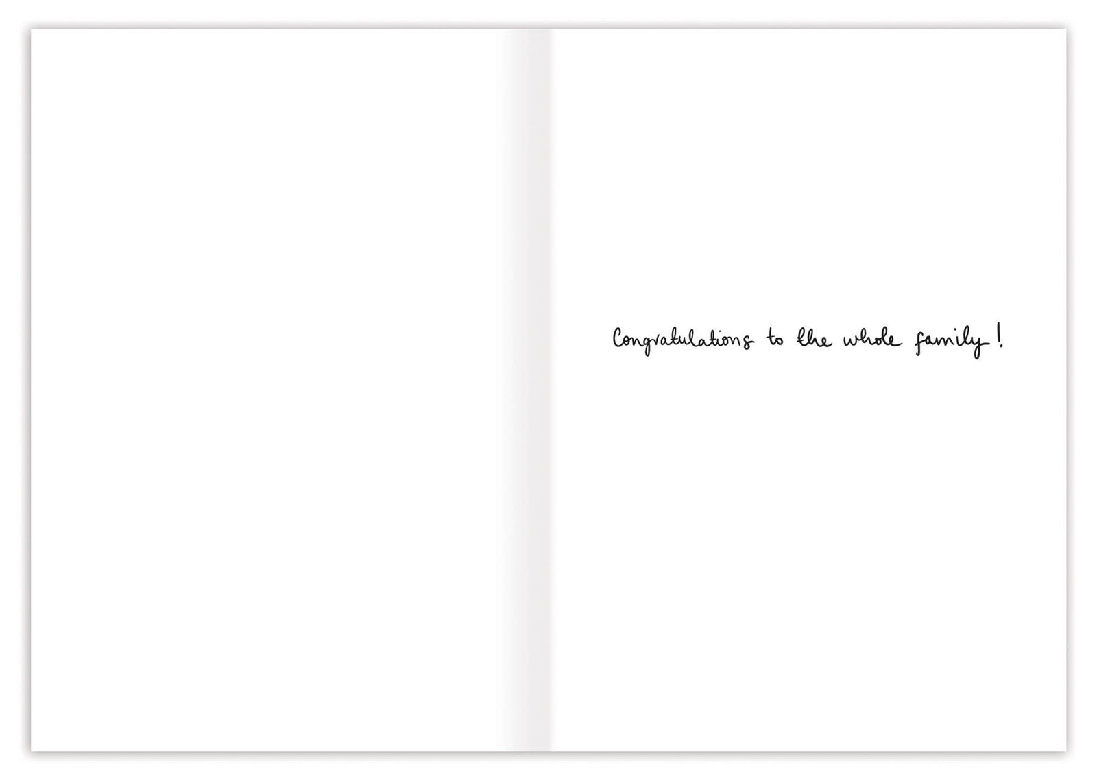 Welcome To The World Baby Card by Louise Mulgrew for Biely & Shoaf