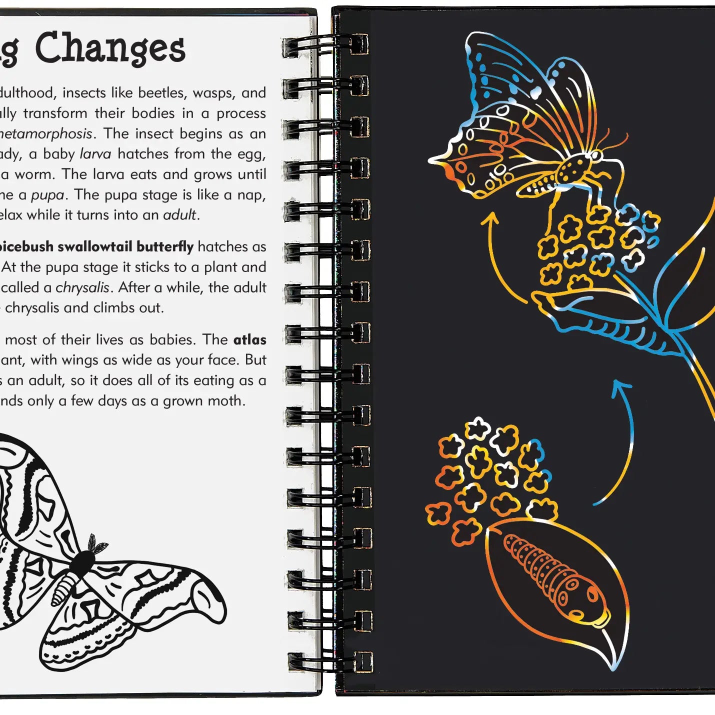 Scratch &amp; Sketch Art Activity Books - Bugs