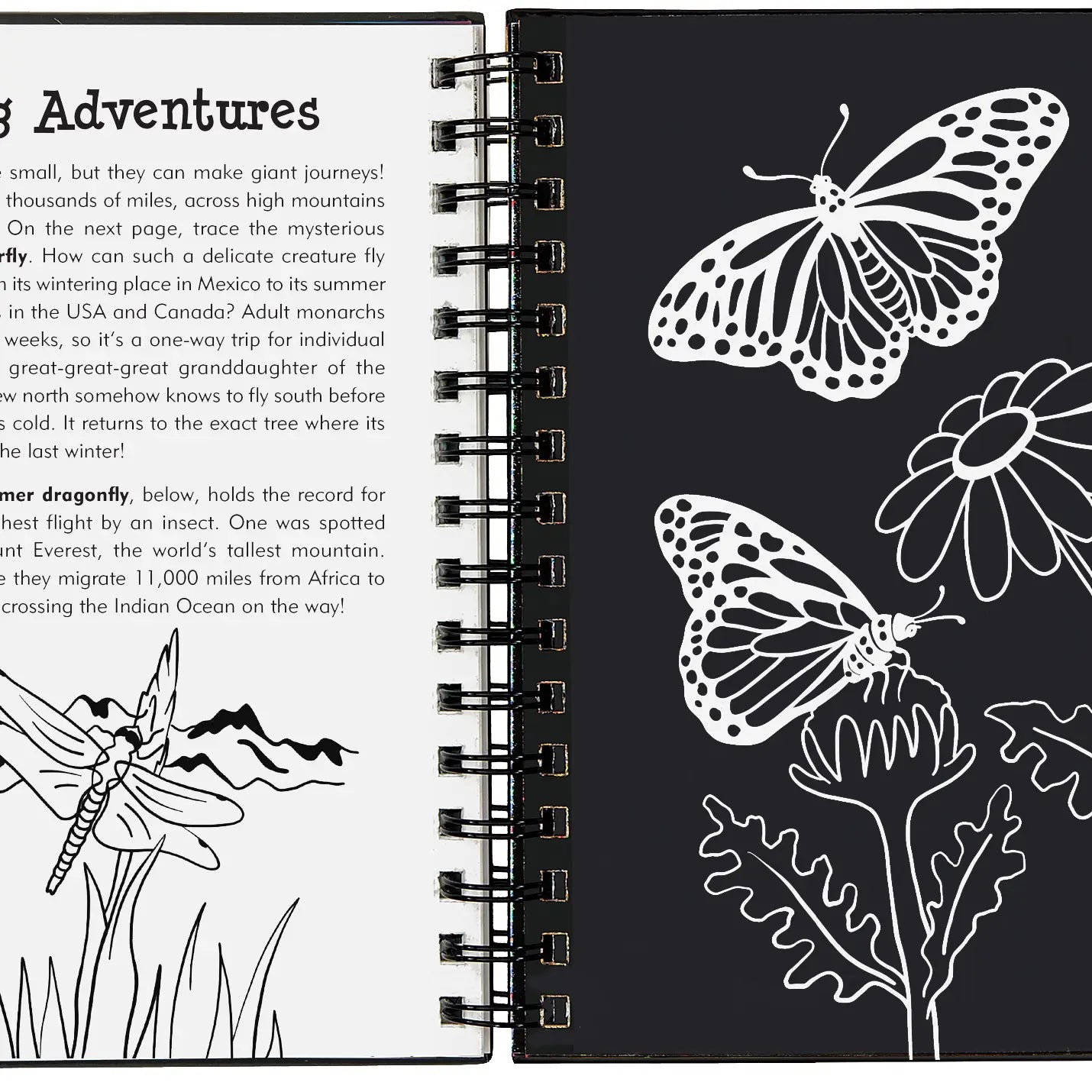 Scratch & Sketch Art Activity Books - Bugs
