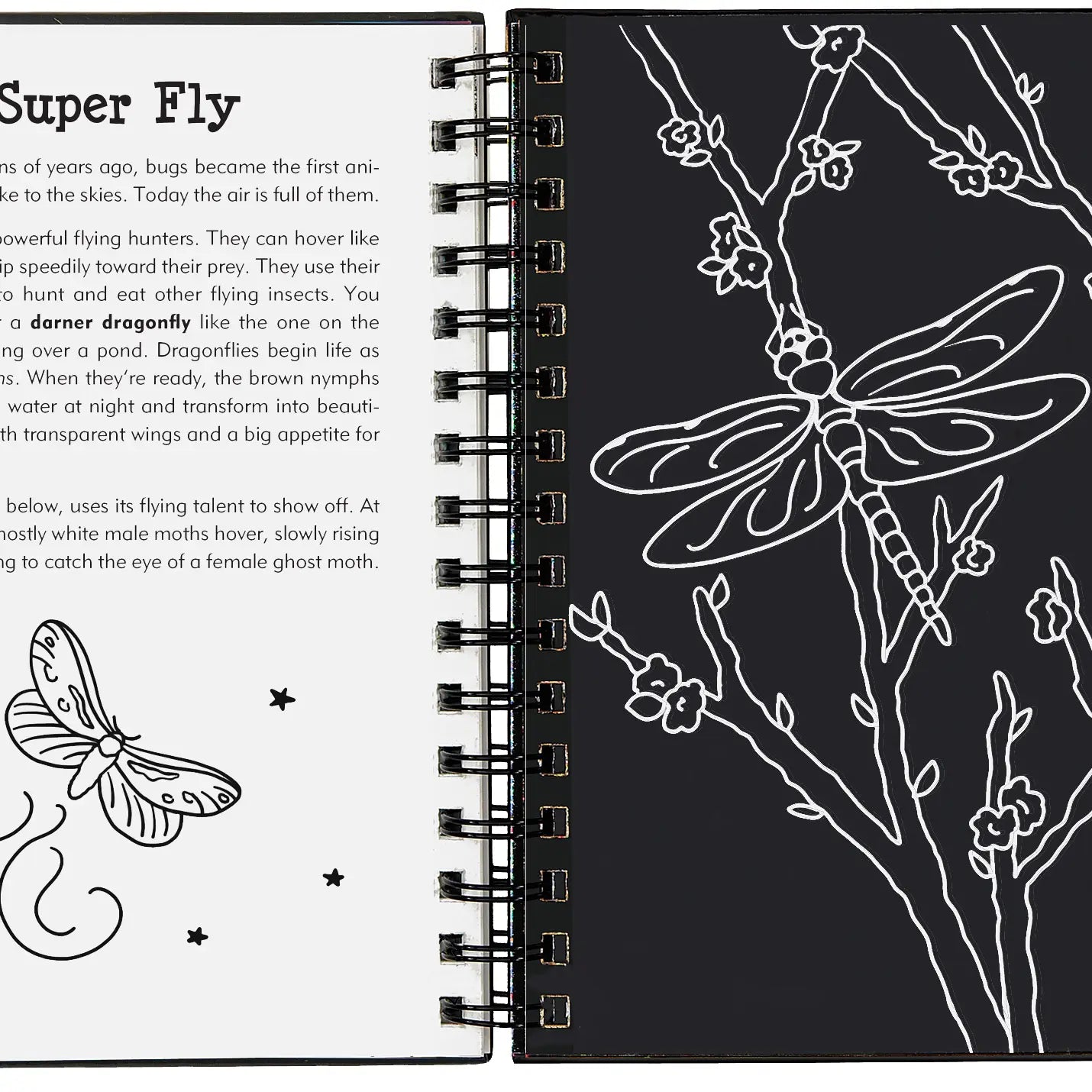 Scratch &amp; Sketch Art Activity Books - Bugs