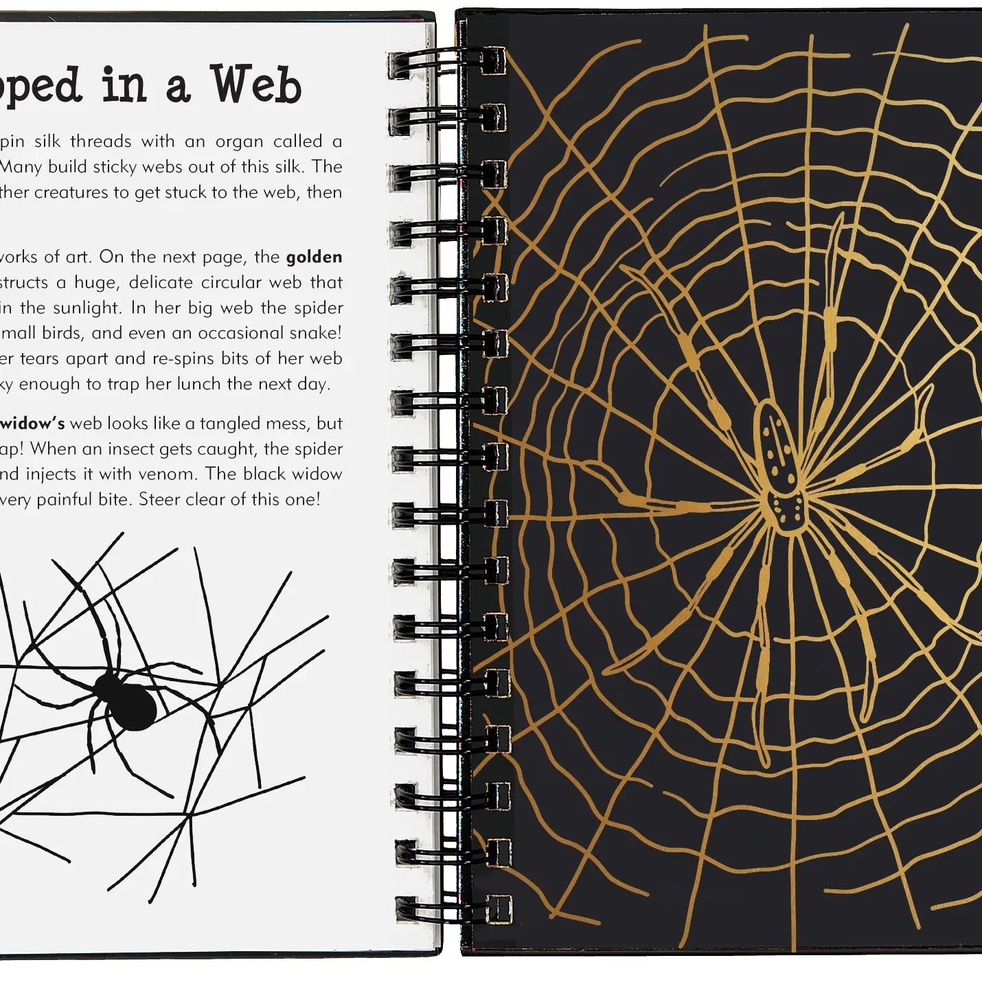 Scratch &amp; Sketch Art Activity Books - Bugs