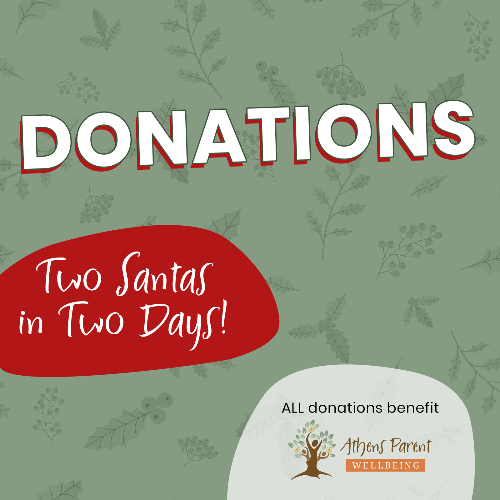 Donations to Snapshots with Santa