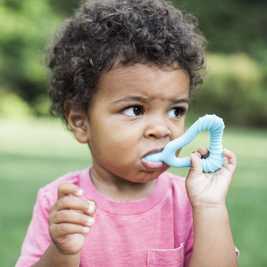 Green Sprouts - Molar Teether (Blueberry)