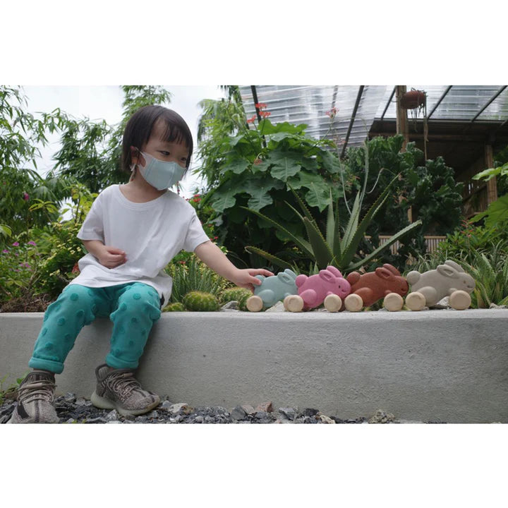 Plan Toys Wooden Push Along Bunny - Pink