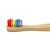 The Future is Bamboo Toothbrush - Kids Rainbow