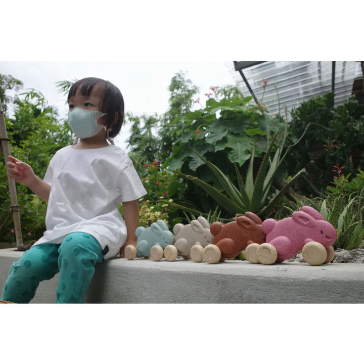 Plan Toys Wooden Push Along Bunny - Pink